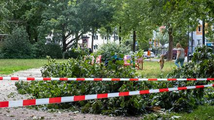 Sturmschäden am Humannplatz in Prenzlauer Berg.