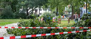 Sturmschäden am Humannplatz in Prenzlauer Berg.