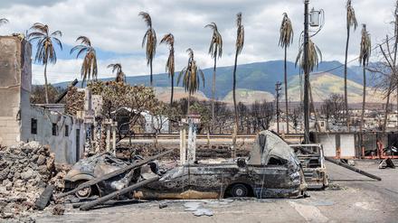 Verbrannte Palmen, zerstörte Autos und Gebäude nach einem Waldbrand in Lahaina im Westen von Maui.