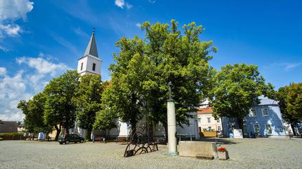 Seelow