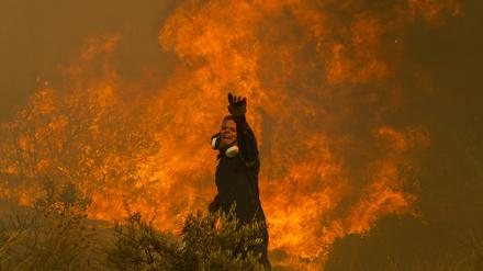 Ein Feuerwehrmann kämpft in einem Vorort der griechischen Hauptstadt Athen gegen die Flammen.