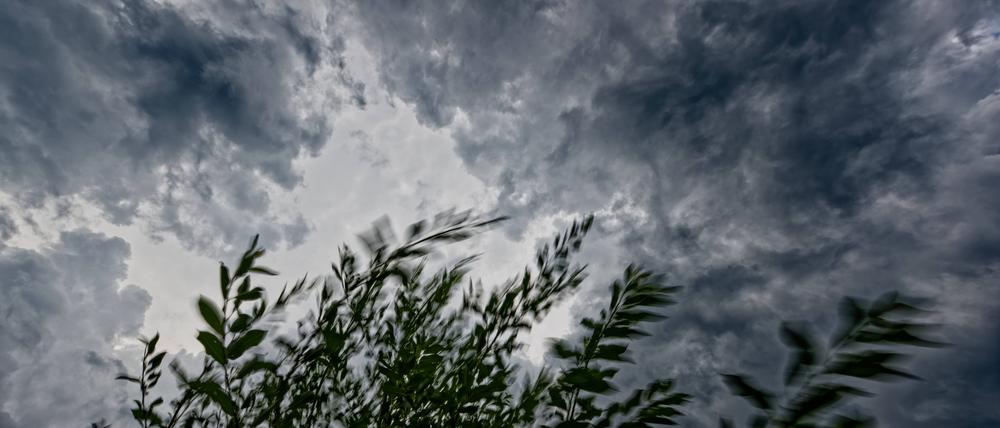 Der Wind peitscht durch die Weide in Siegsdorf in Bayern (Archivbild).