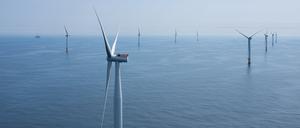 „Hywind Tampen“ besteht aus elf Turbinen, die jeweils bis zu 8,6 Megawatt Strom produzieren.