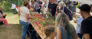 Tomatenfestival Cue ID 10342609.
Bildautorin ist der Forstbotanische Garten Eberswalde