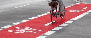 Ein Fahrradfahrer auf einem Radweg (Symbolbild).