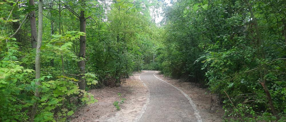 Hönower Weiherkette in Berlin Marzahn