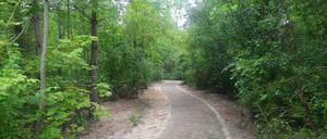 Hönower Weiherkette in Berlin Marzahn 