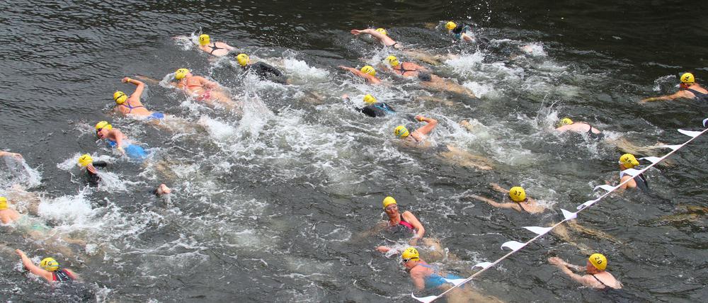 Schwimmerinnen und Schwimmer beim 1. Berliner Flussbad Pokal in der Spree zwischen Bodemuseum und Lustgarten in Berlin-Mitte.