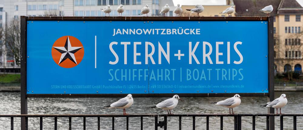 Hier darf nur Stern und Kreis anlegen.