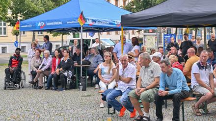 Zum Wahlkampfabschluss am Samstag kamen 200 Menschen auf den Seelower Marktplatz.