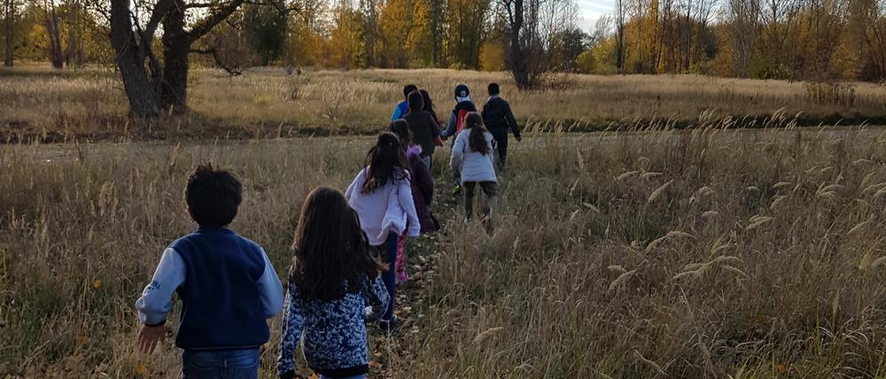 Die teilnehmenden Kinder des Projekts Ankommen bei einer gemeinsamen sportlichen Aktivität im Freien.