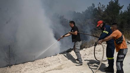 Feuerwehrleute und Freiwillige bekämpfen am 24. August einen Waldbrand im Dadia-Wald.