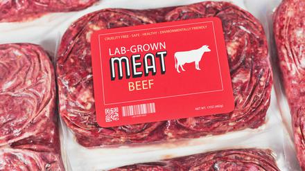 Fleisch aus dem Labor wäre eine Möglichkeit, sich zukünftig nachhaltiger zu ernähren. Doch wie ist die Akzeptanz und wer kann sich das leisten?