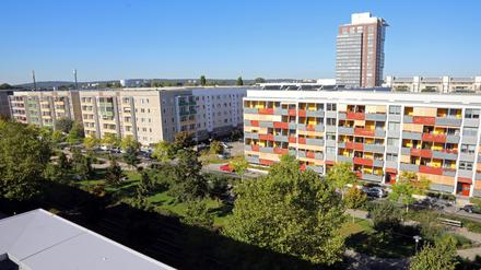Der Umbau der Gartenstadt Drewitz floss in die Untersuchung ein. 