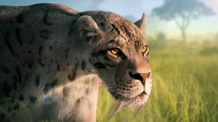 Smilodon fatalis schlitzte mit den verlängerten Reißzähnen wahrscheinlich Beutetiere auf, aber nur vorsichtig, sodass sie nur selten abbrachen.