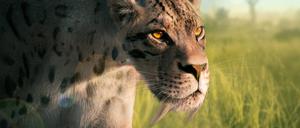 Smilodon fatalis schlitzte mit den verlängerten Reißzähnen wahrscheinlich Beutetiere auf, aber nur vorsichtig, sodass sie nur selten abbrachen.