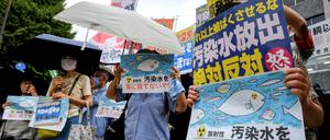 Demonstranten in Tokio