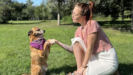 Ein guterzogener Hund in einem Berliner Park.