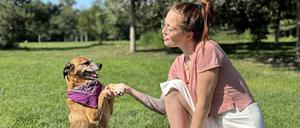 Ein guterzogener Hund in einem Berliner Park. 