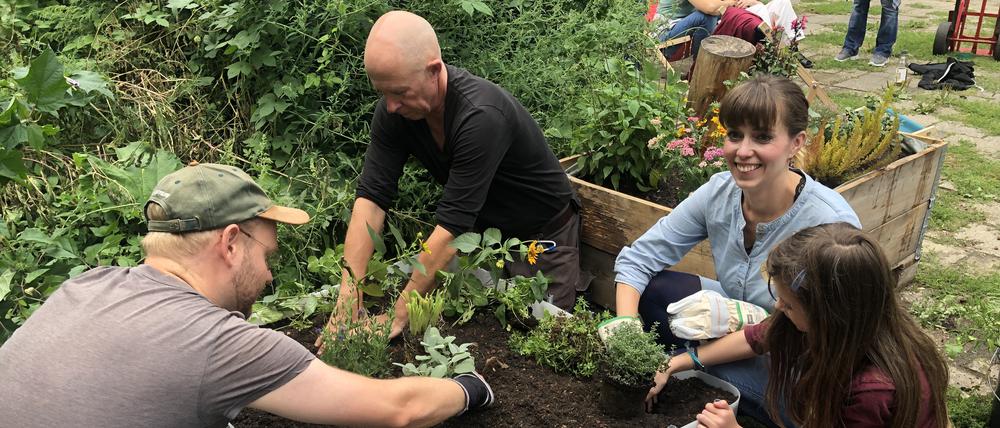 Urban Gardening bei der Eröffnung des Schmollerplatzes im Nordwesten von Treptow-Köpenick.