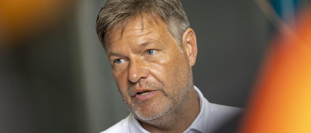 Robert Habeck (Bündnis 90/Die Grünen), Bundeswirtschaftsminister (Archivbild)