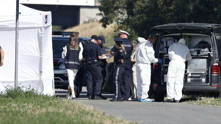 Polizisten ermitteln am Flussufer der Neuen Donau in einem anderen Mordfall.