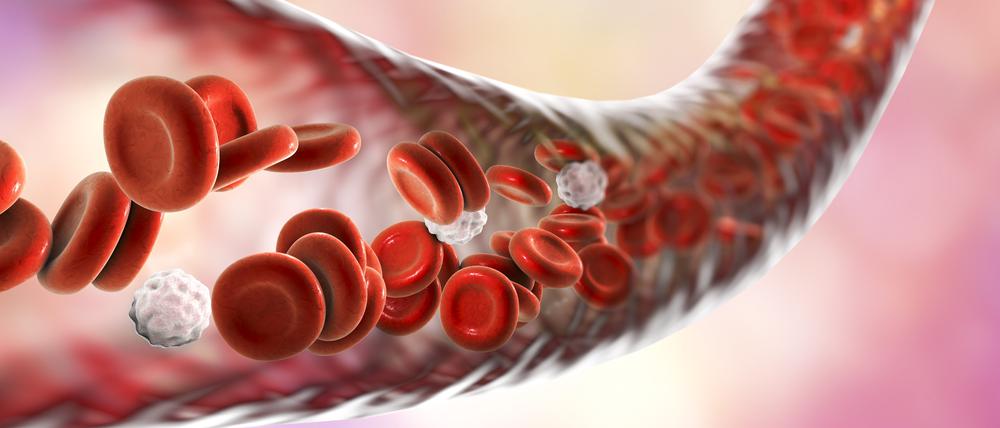 Personen mit Hämophilie fehlen spezielle Eiweiße im Blut, Wunden verschließen sich daher nicht richtig.