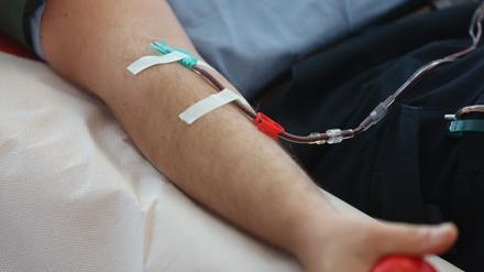 ARCHIV - 24.07.2023, Thüringen, Erfurt: Eine Venenkanüle ist an einem Arm des Spenders fixiert bei einer Blutspende in einem Raum im Hama Blutspendezentrum. (zu dpa «Blutspenden wird für schwule Männer leichter - Was das für Spender und Empfänger bedeutet») Foto: Bodo Schackow/dpa +++ dpa-Bildfunk +++