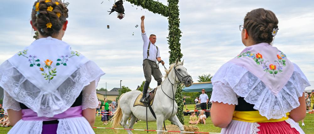 Ein Teilnehmer beim traditionellen sorbisch-wendischen Hahnrupfen beim Erntefest in Heinersbrück, versucht dem Hahn den Kopf abzureißen.