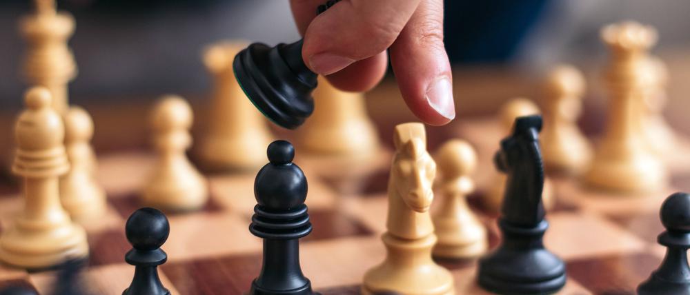 schachbrett,schachspiel,schachfigur,spielzug,brettspiel,damenbrett,homonym,melanargia galathea,spiel,denksport,schach,spiele,schachfiguren *** chess board,chess,chess piece,chess move,chess boards,chess pieces,chess moves 539-h2u