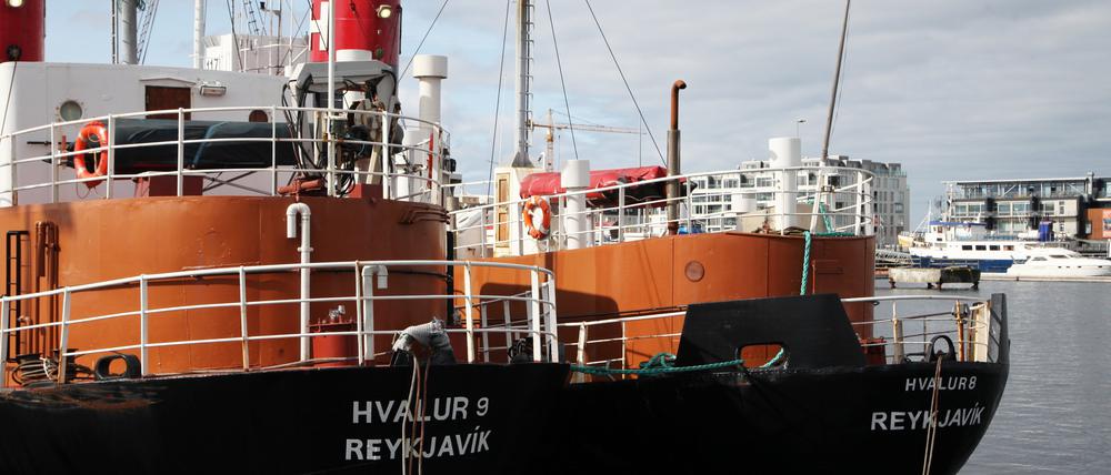 Walfangschiffe im Hafen von Reykjavik.
