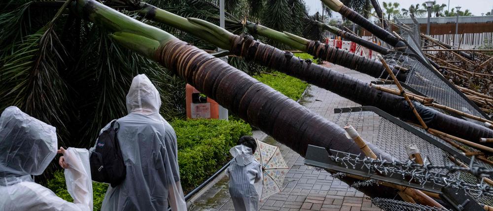 Hongkong meldet mehrere Hundert umgestürzte Bäume sowie einen Erdrutsch.