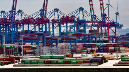 Containerbrücken ragen im Hamburger Hafen in den Himmel (Symbolbild).
