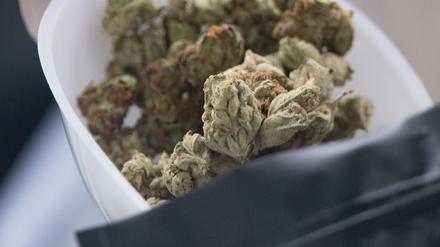 Die Blüten, die Entspannung versprechen. Legales Medizincannabis wird in einem Beutel abgepackt. 