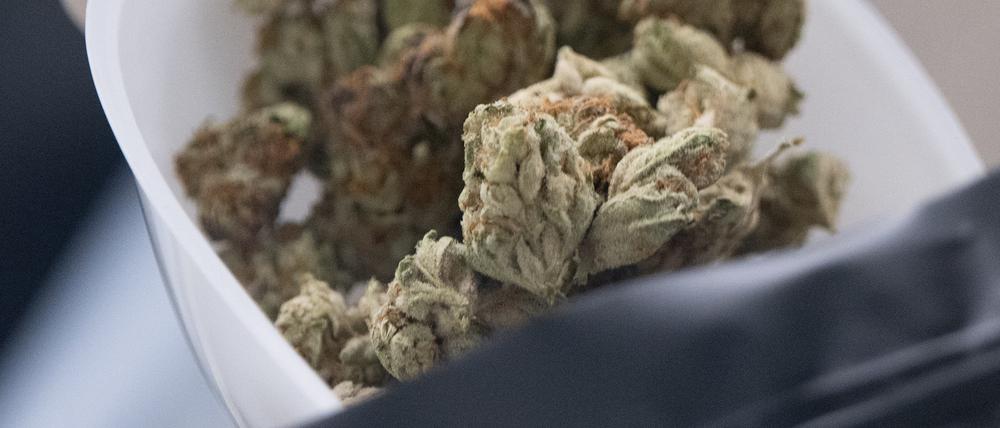 Die Blüten, die Entspannung versprechen. Legales Medizincannabis wird in einem Beutel abgepackt.