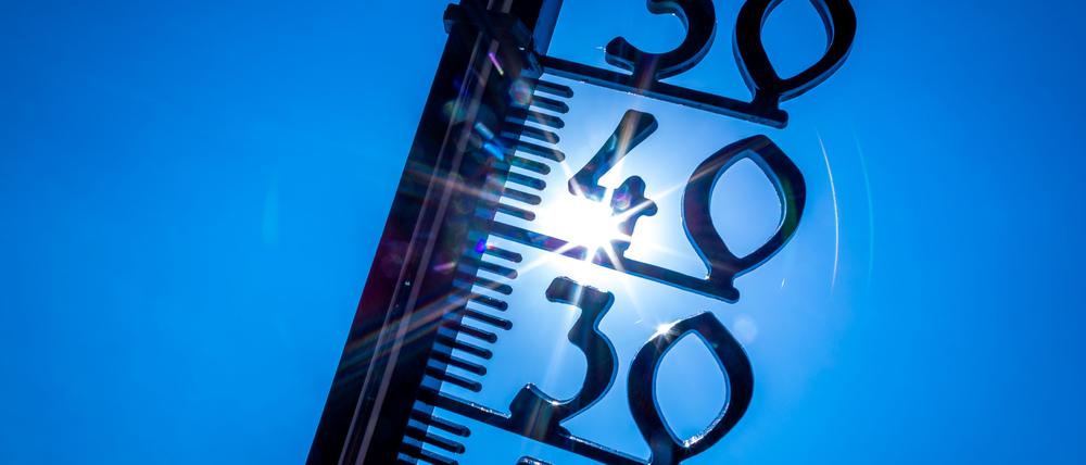 Ein Außenthermometer in einem Kleingarten zeigt die Temperatur von knapp 40 Grad an.