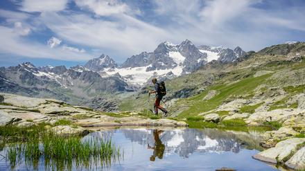 Bis zu elf Tage können Wanderer auf dem Wanderweg entlang der Cottischen Alpen unterwegs sein. 