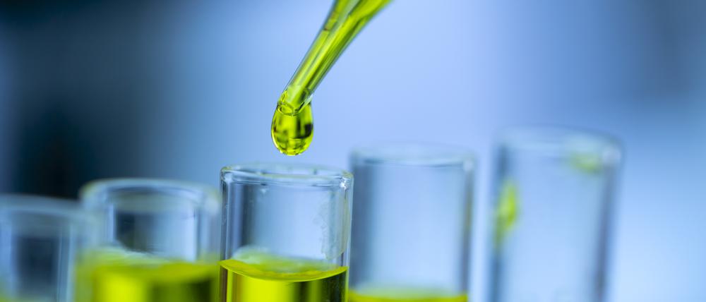 Zwei der ausgezeichneten Berliner Forschenden wollen Chemie „grüner“, also nachhaltiger machen.