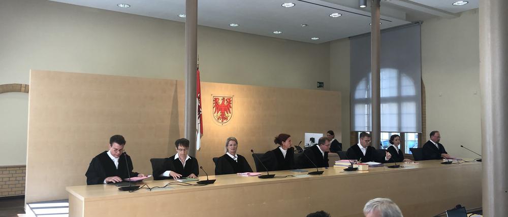 06.09.2023, Potsdam: Das Verfassungsgericht Brandenburg mit Markus Möller (5.v.l), Präsident des Brandenburger Verfassungsgerichts, verhandelt mündlich über eine Klage der AfD-Landtagsfraktion. Dabei geht es unter anderem um die Besetzung von Kandidatinnen und Kandidaten für die Parlamentarische Kontrollkommission des Landtags. Foto: Oliver von Riegen/dpa +++ dpa-Bildfunk +++