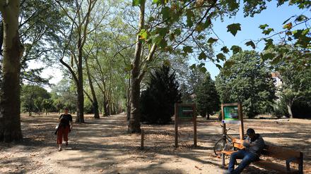 Der „Anita-Berber-Park“ auf dem ehemaligen St. Thomas II Kirchhof an der Hermannstr. in Berlin-Neukölln.