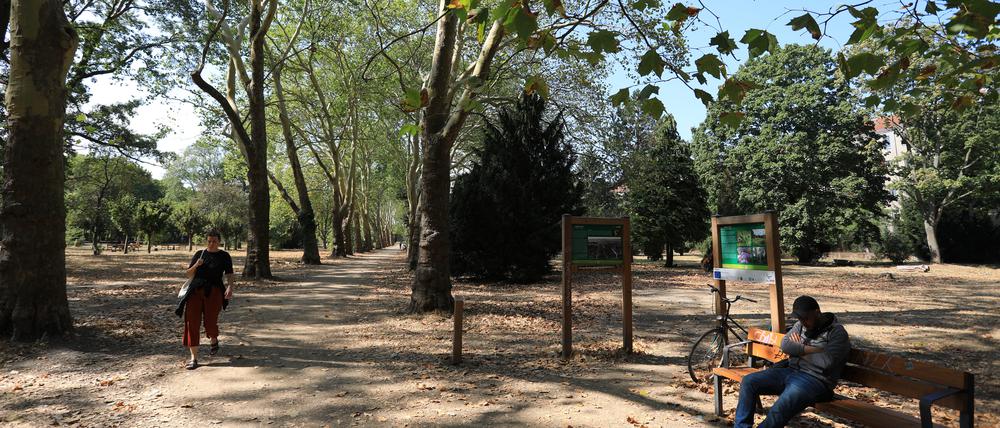 Der „Anita-Berber-Park“ auf dem ehemaligen St. Thomas II Kirchhof an der Hermannstr. in Berlin-Neukölln.