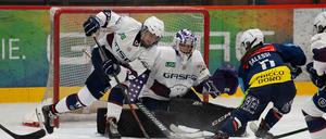 Das Frauenteam der Eisbären (weiße Trikots) belegte beim eigenen Turnier den zweiten Platz. 
