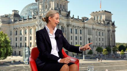 Alice Weidel beim Interview mit der ARD.