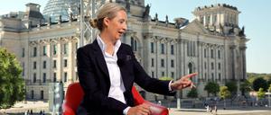 Alice Weidel beim Interview mit der ARD.