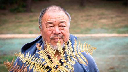 Ai Weiwei