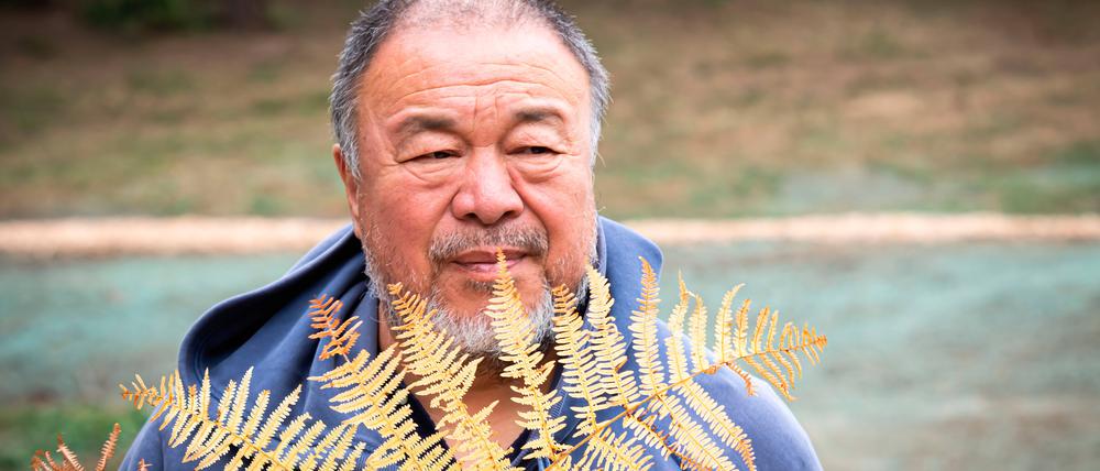Ai Weiwei