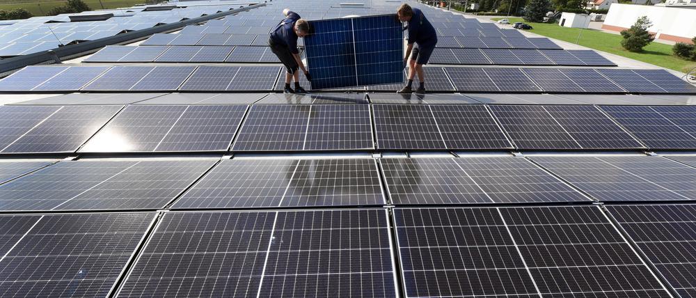 Greg King und Maik Schedletzky von der Leipziger Solargesellschaft mbH tragen ein Solarmodul auf dem Dach der Frische GmbH Köhra.  