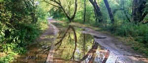 Wuhlewanderweg in Berlin - Foto: Stefan Fruhner