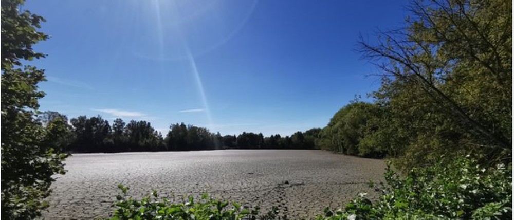 Die trockengelegten Teiche in Pankow-Heinersdorf.