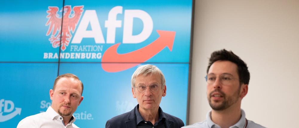 Hans-Christoph Berndt (M), Fraktionsvorsitzender der AfD im Landtag von Brandenburg, geht nach einer Pressekonferenz nach einer Fraktionssitzung der AfD im Landtag Brandenburg zwischen Felix Teichner (AfD, l), Abgeordneter im Landtag von Brandenburg, und Dennis Hohloch, Parlamentarischer Geschäftsführer der AfD im Landtag von Brandenburg, vor einem AfD-Logo entlang.